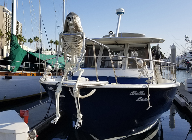 Bay Tour Halloween Party